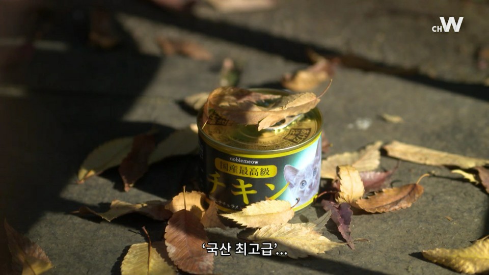 KakaoTalk_20200918_213053966.jpg