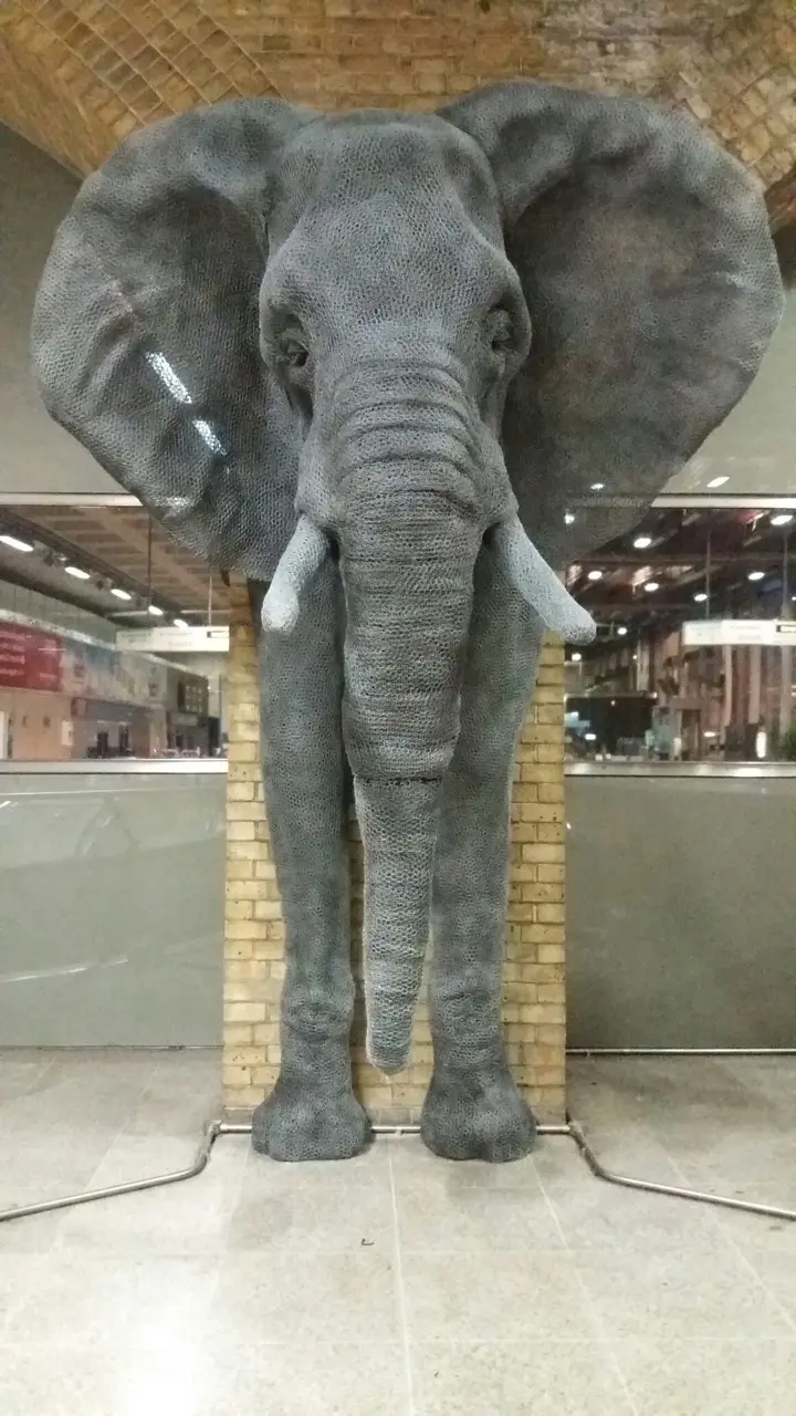 elephant-1.jpeg
