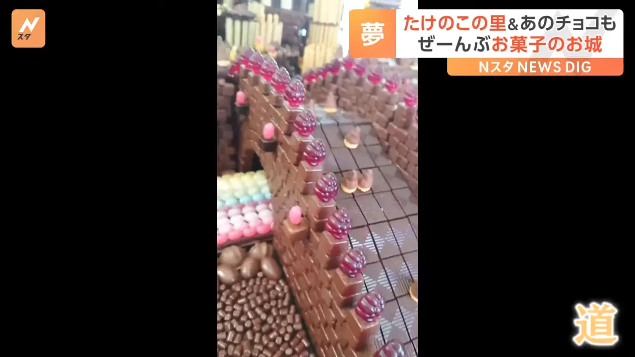 「夢が叶った」ぜ～んぶお菓子で出来た壮麗なお城が話題｜TBS NEWS DIG 0-11 screenshot.png