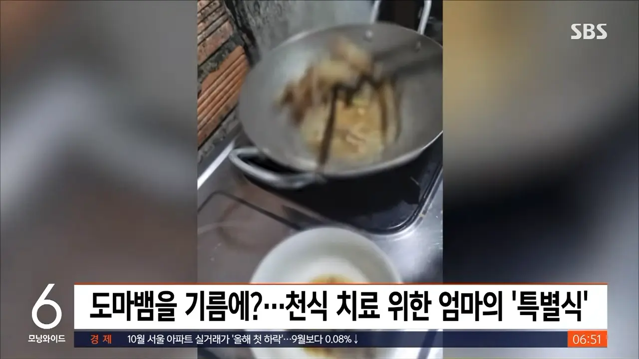 '새끼 도마뱀 튀김'이 천식 치료제_ 논란 부른 엄마의 요리 _ SBS _ 생생지구촌 0-24 screenshot.png