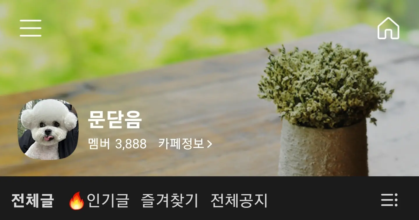Screenshot_20240324_091629_Naver Cafe.jpg
